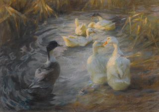 Alexander Koester - Ducks among reeds in a pond (Case Conflict).webp