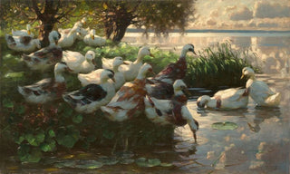 Alexander Koester - Enten am Seeufer.webp