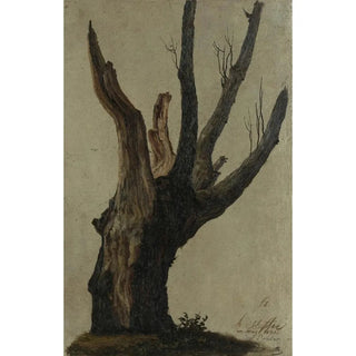 Anton Schiffer - Baumstudie im Prater.webp