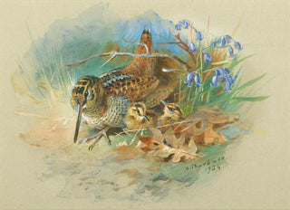 Archibald Thorburn - Woodcock and Young.webp