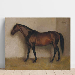 Dollar, un chasseur de baie dans une boîte en vrac - Jean-Léon Gérôme | Reproduction Tableau Décoration murale affiche copie