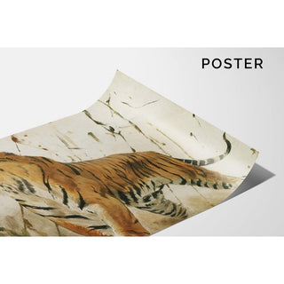 Étude d’un tigre - Wilhelm Kuhnert | Reproduction Tableau Décoration murale affiche copie