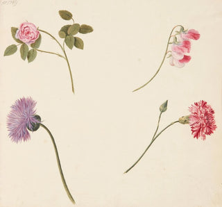 Johanna Fosie - Studie af blomster.webp