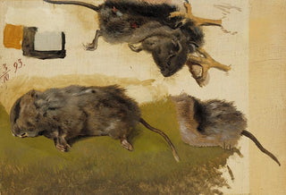 Ferdinand von Wright - Rodents.webp