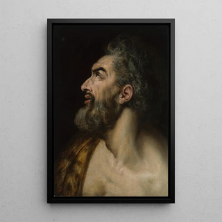Frans Floris - Study Head of a Bearded Man.webp