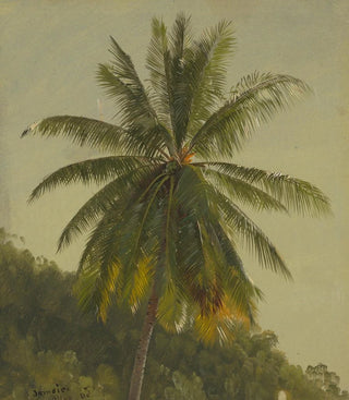 Frederic Edwin Church - Palm Trees West Indies.webp