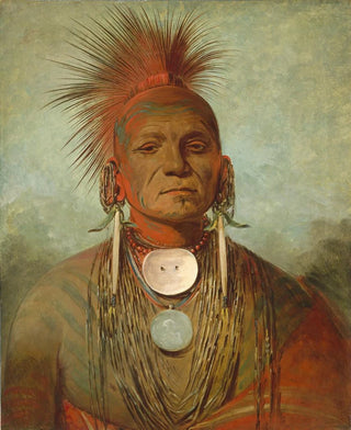 George Catlin - Seenontya an Iowa Medicine Man.webp