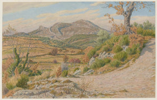 Henri Rivire - BuislsBaronnies.webp