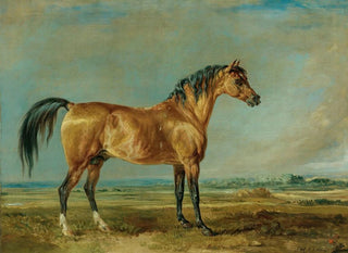 James Ward - The Marquess Of Londonderrys Arabian Stallion In A Landscape.webp