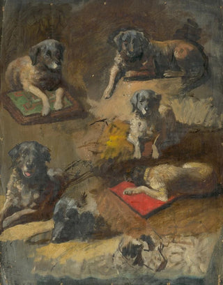 Jan Nowopack - Study of a Dog.webp