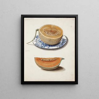 Johanna Fosie - Studie Af To Netmeloner Halveret Og Kvadreret.webp