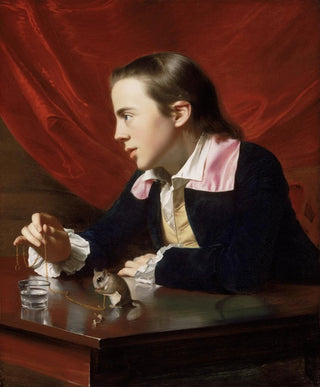 John Singleton Copley - A Boy With A Flying Squirrel Henry Pelham.webp