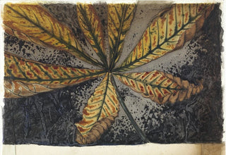 Julie de Graag - Kastanjeblad.webp