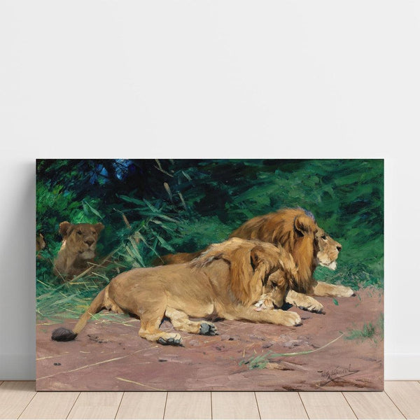 Reproduction of the painting Lions at rest - Wilhelm Kuhnert
