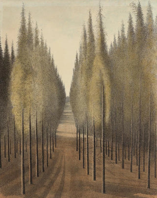 Lon Spilliaert - De brandgang.webp