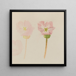 Ma Première Peinture - Mary Vaux Walcott