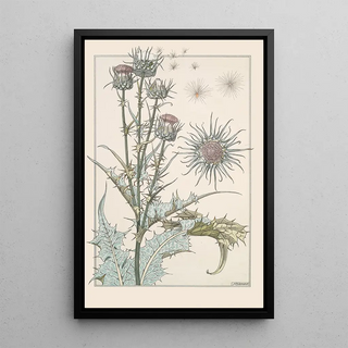 Maurice Pillard Verneuil - Chardon.webp