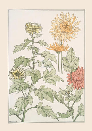 Maurice Pillard Verneuil - Chrysanthme.webp