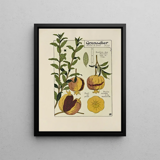 Maurice Pillard Verneuil - Grenadier.webp