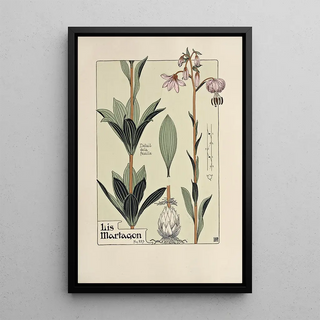 Maurice Pillard Verneuil - Lis Martagon.webp