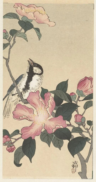 Ohara Koson - Great tit on branch with pink flowers.webp