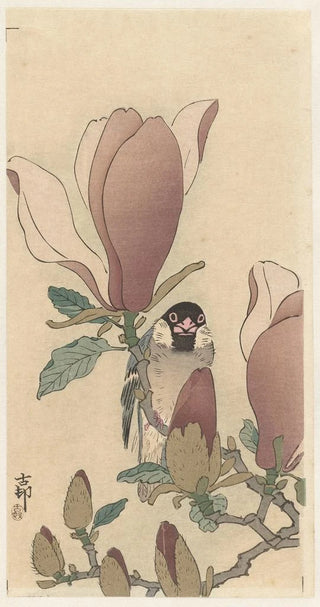 Ohara Koson - Sparrow on blooming magnolia branch.webp