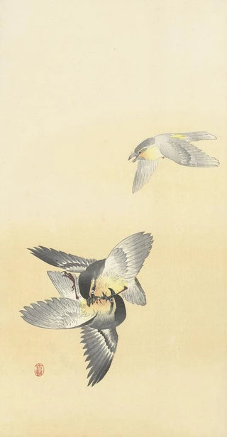 Ohara Koson - Two fighting birds.webp