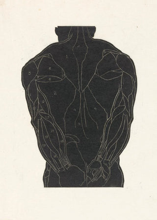 Reijer Stolk - Anatomische studie van de rugspieren van een man in silhouet.webp