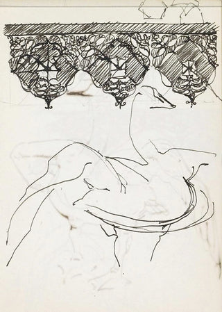 Reijer Stolk - Vogel mogelijk een zwaan.webp