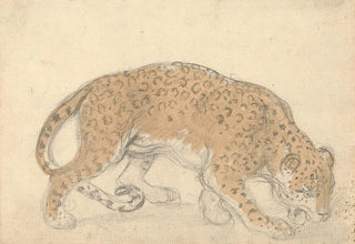 Sawrey Gilpin - Study of a leopard.webp