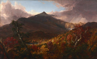 Thomas Cole - View of Schroon Mountain Essex County New York After a Storm.webp