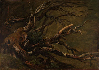 Thomas Fearnley - Study of decaying Tree.webp