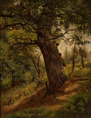 Wilhelm Peter Bayer - Study of a tree.webp