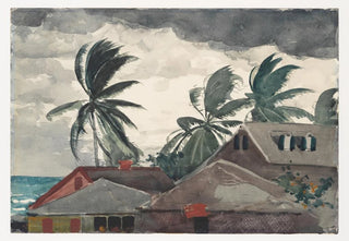 Winslow Homer - Hurricane Bahamas.webp