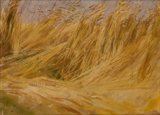 Wodzimierz Tetmajer - Corn Field Study.webp