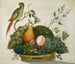 Fruit Basket Painting with Parrot - A. M. Randall — artwork view