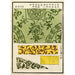 Reproduction of the painting Chinese Prints Painting pl26 - A F Stoddard Company