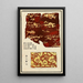 Chinese Prints Painting pl86 - A F Stoddard Company — framed artwork on a wall