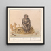 Aap Primates Aep Simius Singe - Anselmus Botius de Boodt — framed artwork on a wall