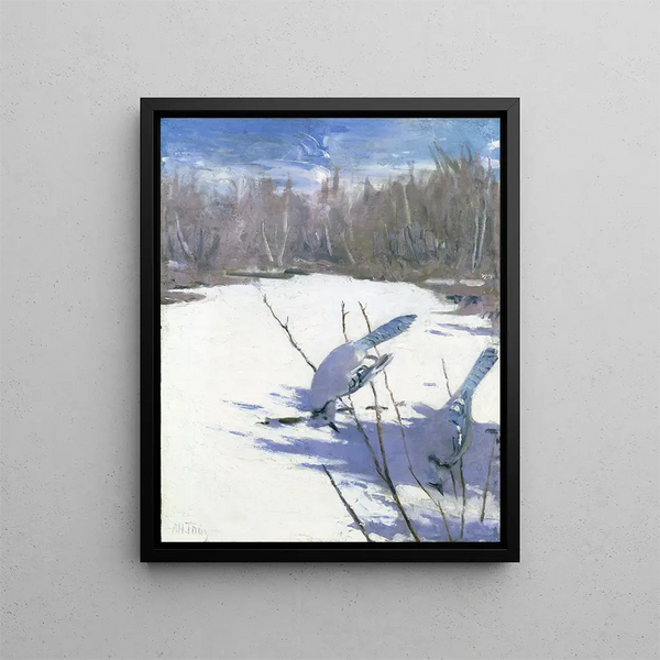 The Blue Jays in Winter Study for a Book Disguising the Coloring of the Animal Kingdom - Abbott Handerson Thayer — framed artwork on a wall