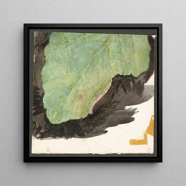 Heterocampa Biundata Walker study for the book Camouflage in the animal kingdom - Abbott Handerson Thayer — framed artwork on a wall