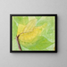 Study of the lunar caterpillar for the book Camouflage in the animal kingdom - Abbott Handerson Thayer — framed artwork on a wall