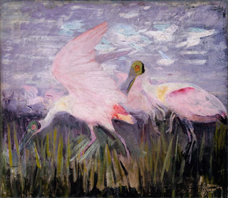 Study of Pink Spatulas for the book Camouflage in the Animal Kingdom - Abbott Handerson Thayer — artwork view