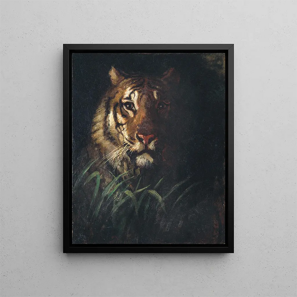 Tête de tigre - Abbott Handerson Thayer — framed artwork on a wall
