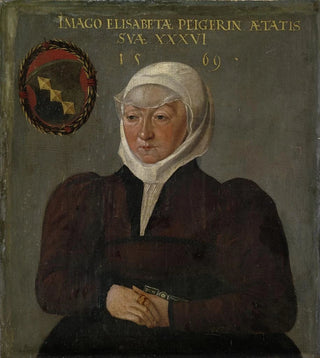Portrait of Elisabeth Peyer de Schaffhouse - Abel Stimmer — artwork view