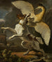 a dog fighting a heron - Abraham Hondius — artwork view