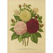 Flore et pomone néerlandaises Pl01 - Abraham Jacobus Wendel — artwork view