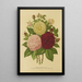 Flore et pomone néerlandaises Pl01 - Abraham Jacobus Wendel — framed artwork on a wall