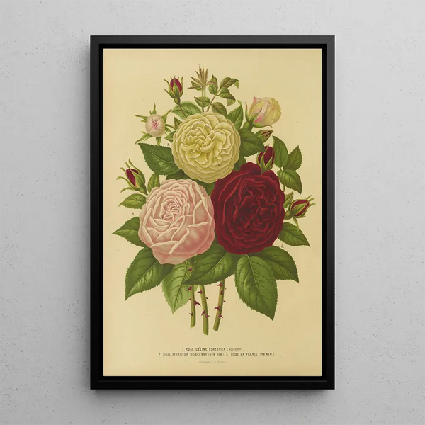 Flore et pomone néerlandaises Pl01 - Abraham Jacobus Wendel — framed artwork on a wall