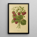 Flore et pomone néerlandaises Pl02 - Abraham Jacobus Wendel — framed artwork on a wall